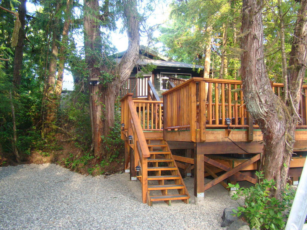 Tofino Forest View Cabin By Cox Bay Villa Ruang foto